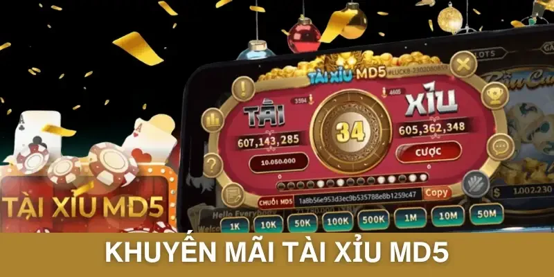 Các Khuyến Mãi Tài Xỉu MD5 Hot Cần Tham Gia Ngay
